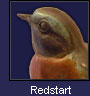 Redstart sculptures